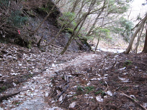20200110hike (404)